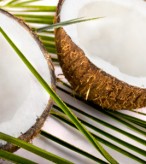Benefícios do Óleo de Coco