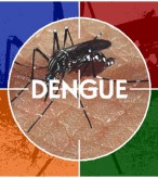 sintomas-da-dengue