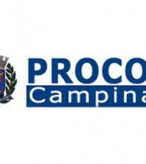 Procon campinas um aliado ao consumidor