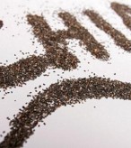 Semente de Chia