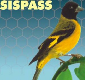 SISPASS
