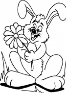 Coelho da Páscoa para Colorir