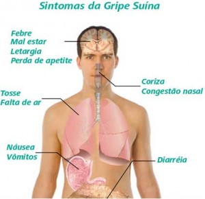 Sintomas Gripe A , Influenza A (H1N1), Gripe Suína