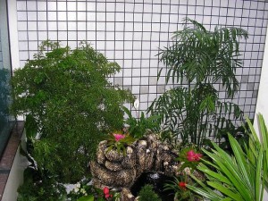 jardim-de-inverno-pequeno-13