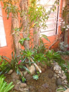 jardim-de-inverno-pequeno-5