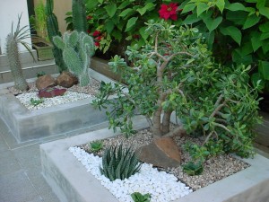 jardim-de-inverno-pequeno-9