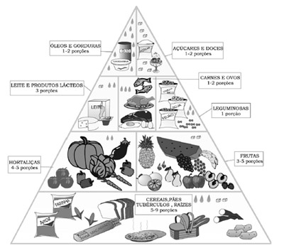 Pirâmide Alimentar Brasileira
