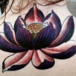 flor-de-lotus-12