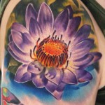 flor-de-lotus-15