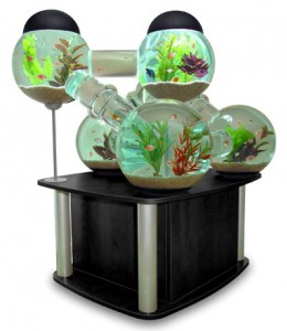 aquario-de-peixes-13