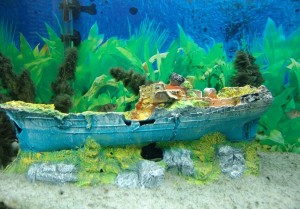 aquario-de-peixes-4
